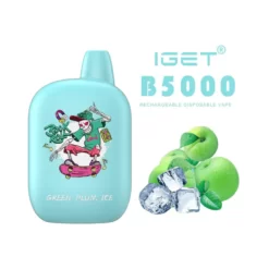 IGET B5000 DISPOSABLE VAPE - GREEN PLUM ICE (5% Nic) - Type C-type Rechargeable