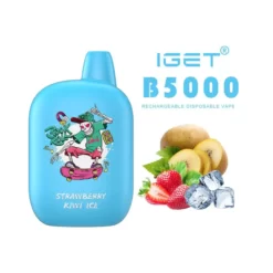 IGET B5000 DISPOSABLE VAPE - STRAWBERRY KIWI ICE (5% Nic) - Type C-type Rechargeable