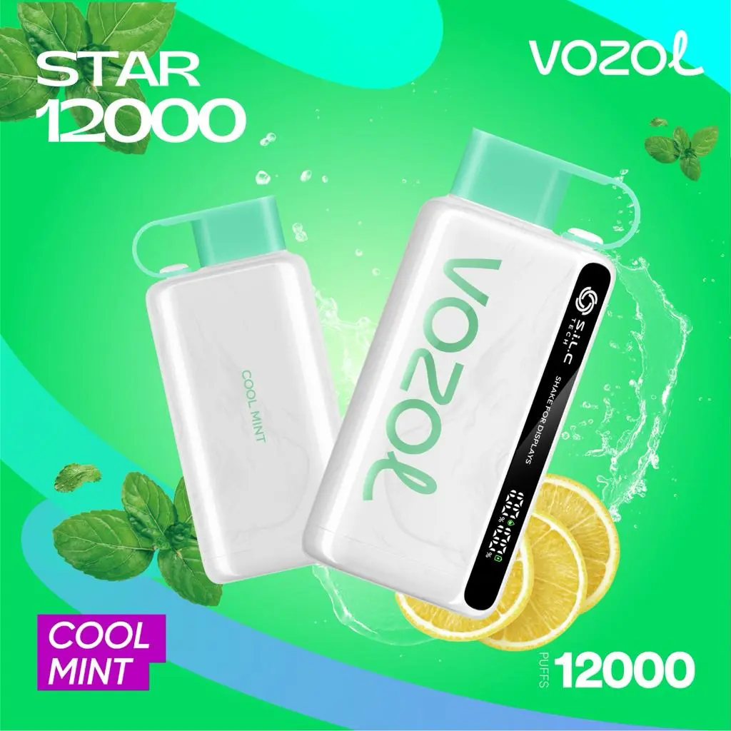 Vozol-Star-12000-Puffs-Cool-Mint