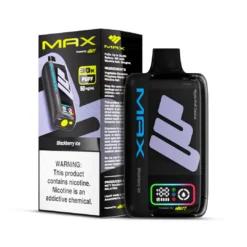 NASTY MAX 30K PUFFS - BLACKBERRY ICE 5% Nic – Type C Rechargeable