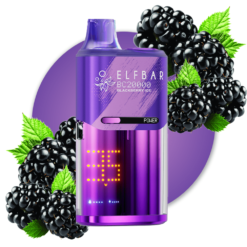 ELF BAR BC20000 - BLACKBERRY ICE – 5% Nic – Type C Rechargeable